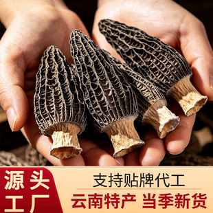 �����Ǿ�5-8cm��؛���l Դ�^���Sɢ؛�^��ֱ�l�����ɻ����l���l