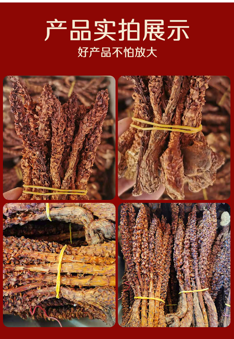 Bu Lao Cao Dried Herb 500g Boschniakia Rossica Whole Root for Herbal Wine and Decoction key features
