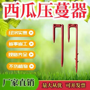 ��ݮ�����ω��������牺������������ֲ��̶�������������ֲ�ι�