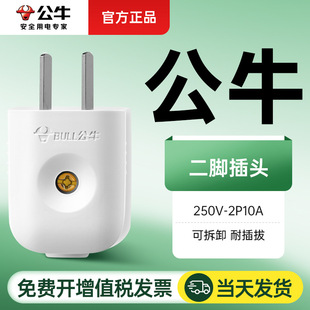 Bull power wire plug two-pin two-hole two-pin two-pole two-angle two-pin 2p10a two-phase cutting head