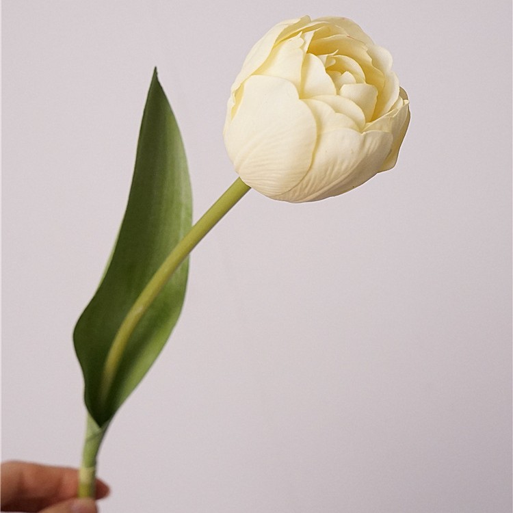 Touch Camellia Tulip - Amarillo claro