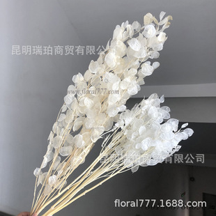 �������y���~�ɻ������滨 �y�X�����Ż�����Y�Ҿ��b[��