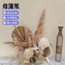 �������W�t��Ȼ�JȔ�ɻ��Gֲ��β���̈�����ֲ���쾰�Ҿ����Ԕ[��