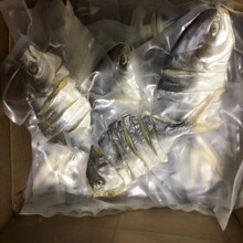 �}�~���}�~����b�~�ɵ����~���r��؛���~ˮ�a���aƷ�ɳ��L�~����