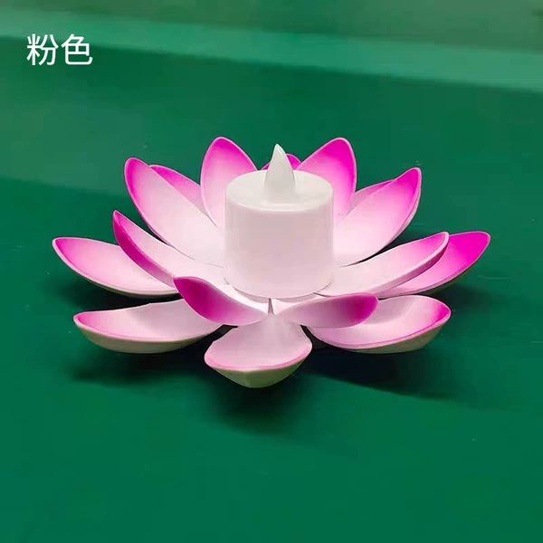 Fuchsia, electronic, 15cm