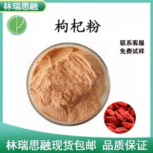 枸杞粉末精选原料速溶枸杞果汁粉枸杞浓缩粉厂家现货养生提取物