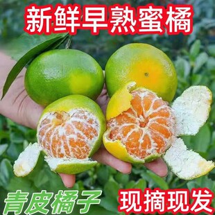 �����Ƥ�������r�������SƤ���������ЋDˮ��������G����