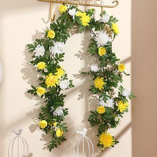 ����ջ��ٗl��������Ĺ���컨��ω������������ٻ����Ͻ���