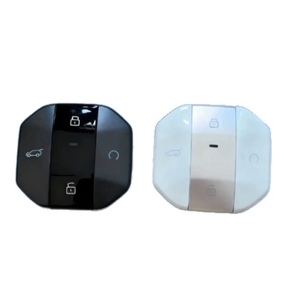 Key with 4A Chip, Car Keys