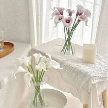 ins�L�����R��ɏ�ٻ������͏d���Һ��s�Ӽ��b����[���z���滨