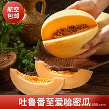 �½����ܹ������������۹����������rˮ�����l���]�a�غ��հl؛