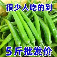 辣】辣小青椒杭椒尖椒朝天椒线椒螺丝椒小米椒现摘青椒腌制