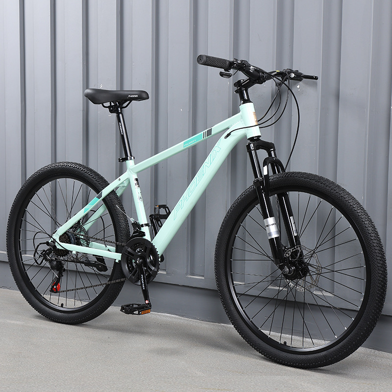 Aluminum Frame Spoke Wheel-Green-24 Inch-24 Speed