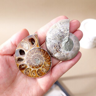 ��Ȼˮ���������дֲ�����ˮ��ʯ�V��˱�