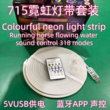 5V715幻彩霓虹柔性灯带RGBIC跑马流水24键蓝牙声控LED套装