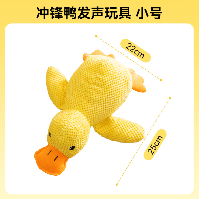 Интернет-знаменитость, шарлатанская утка-труба