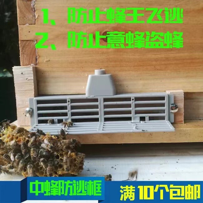 Chinese Bee Anti-Escape Box Bee Anti-Theft Anti-Bee King Anti-Escape King Cage Partition Anti-Italian Bee Theft Chinese Bee Hive Nest Door