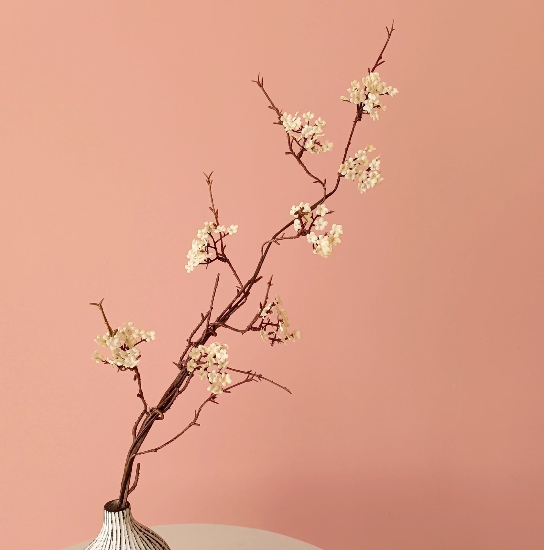 잔꽃무늬 가지, 미색