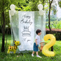 小红薯同款户外生日场景氛围布置装饰网纱背景挂布6周岁男孩拍照
