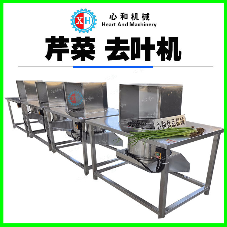 连续式芹菜去叶机 香菜摘叶机 山芹莴苣叶自动除叶机摘菜机