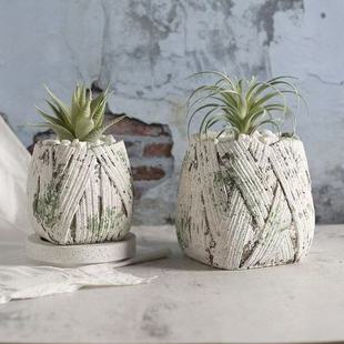 �������f��ˇˮ�໨����̦ʯ�yɫ�@ˇ�[���������Nֲ�����l�F؛