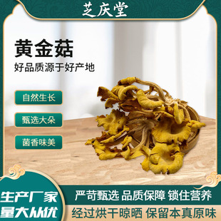 �S�𹽸�؛��؛���l�Ҝ����˼�Ʒ�����S�����S���Ҝ����l