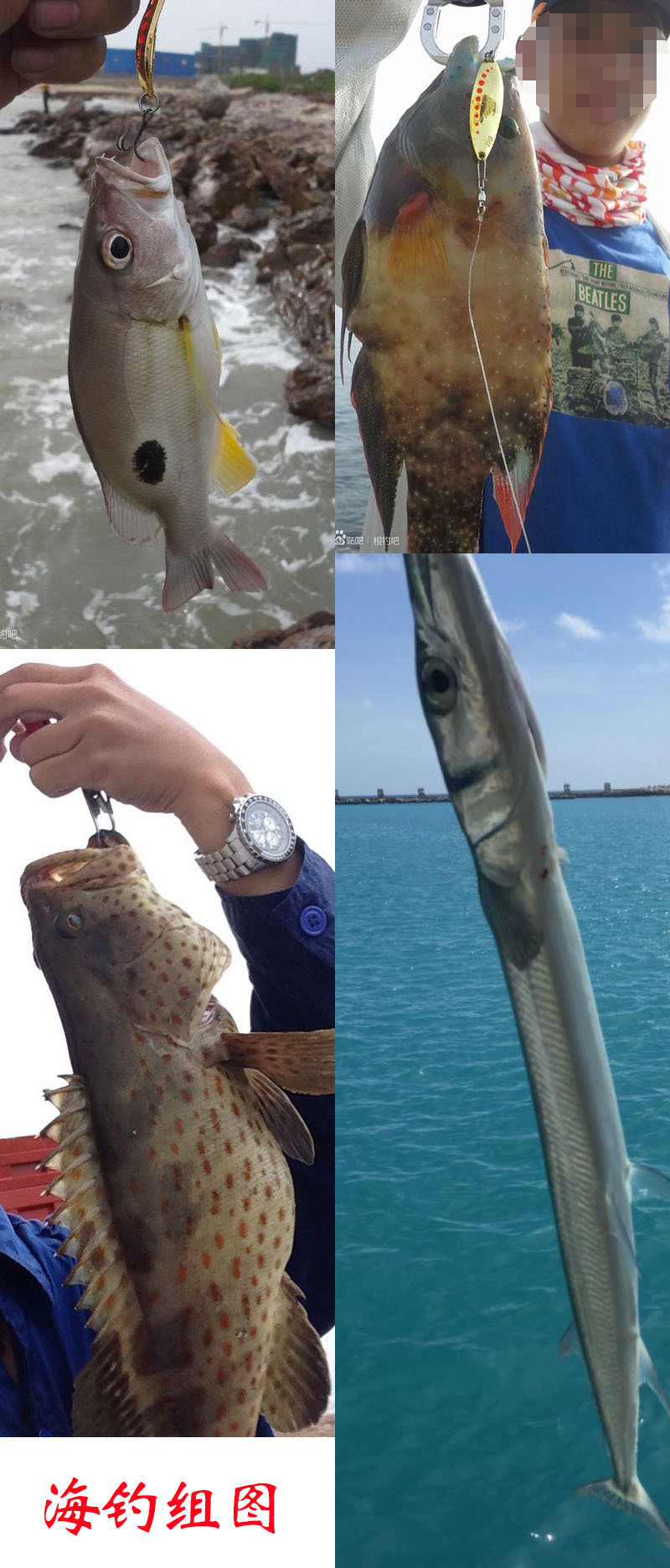 海钓组图-2.jpg