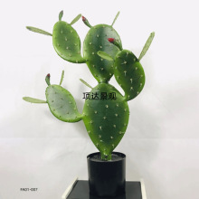 ���������Ƽ������҃���ؔ[���W�tins�L�Gֲ���辰