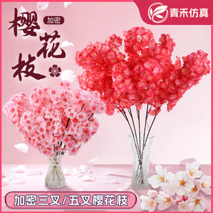 ����ѻ�֦�Ƶ��c�bѻ����һ����ϼٻ������͏d����̨����