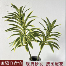 ��߅�ٺ��� ���滨����Gֲ��ֲ���S���m���~�����m�Ҿ��b�c