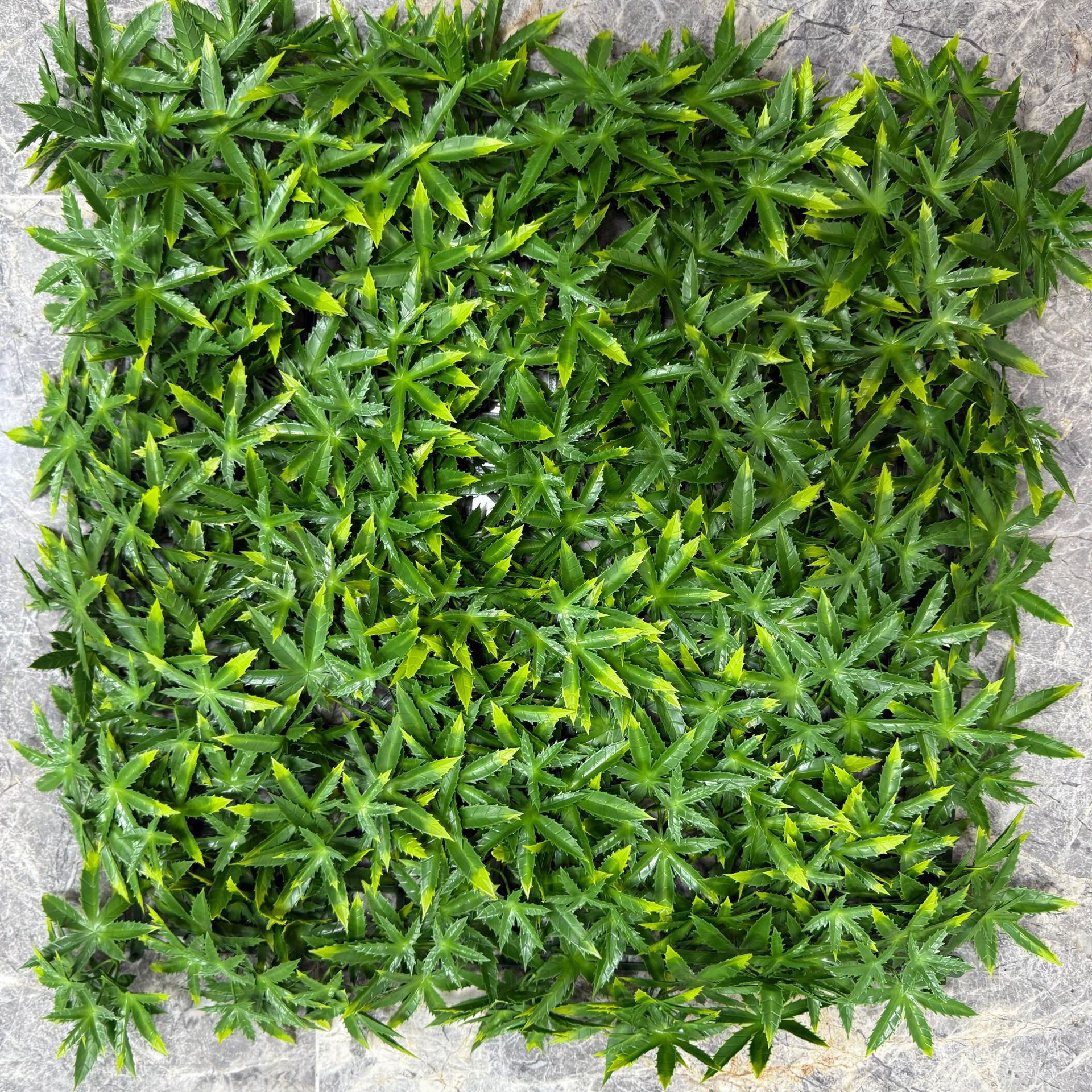 Flor artificial creativa Pared de césped decorativo interior planta verde techo artificial pared de fondo fábrica al por mayor Pared de Planta artificial