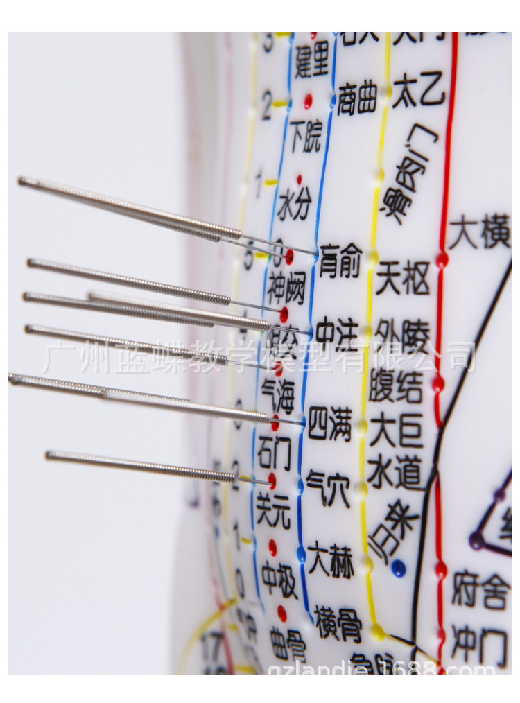 5262cm针灸人_17