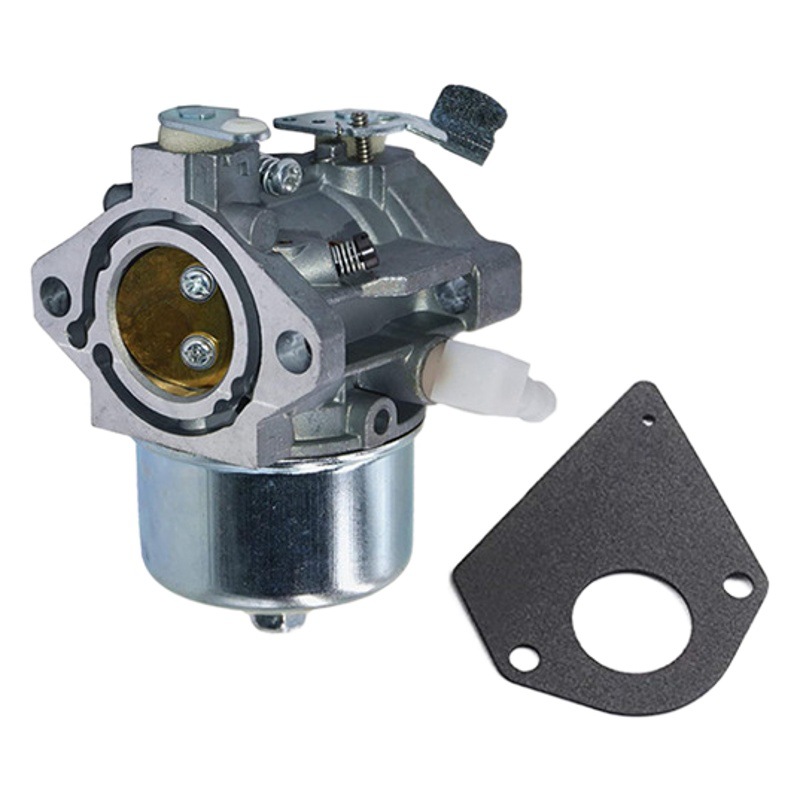 698171 692684 carburador para Briggs & Stratton495778 494883