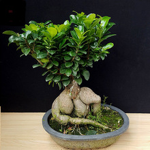 ˅ŴСŘ̨ƤžGֲԻܸ辰kܘ