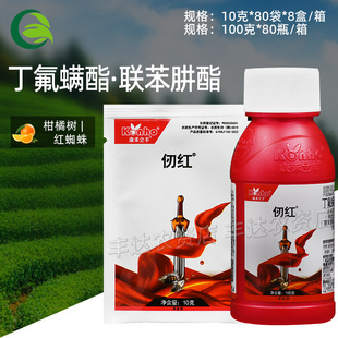 �������S ��t�����\��������40%�t֩���~�\�rș���x���њ��\��