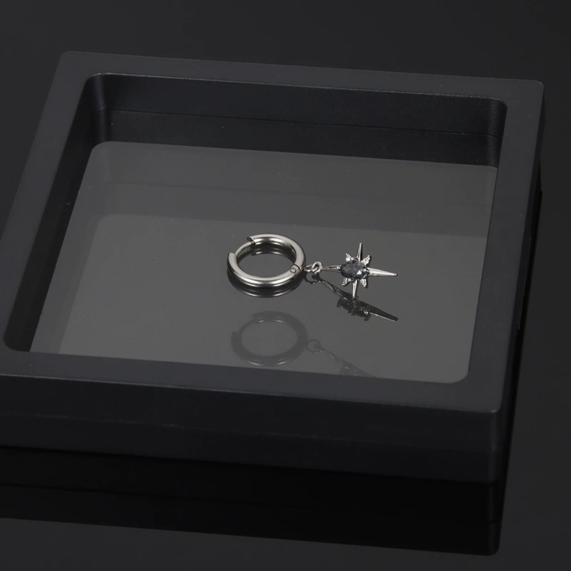 Brand earrings stainless steel