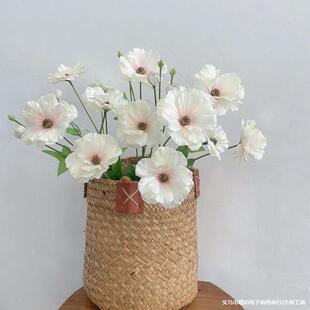 ������ĵ�����滨�ձ�����ˇ�쾰��Y�b����g��ꐔ[�ŔzӰ����