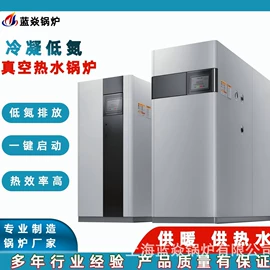 燃气锅炉;电热锅炉;燃烧器