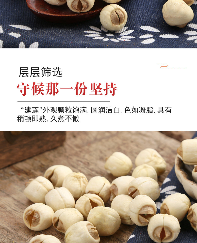 Lotus Seed (Nelumbo nucifera) — Sulfur-Free White Lotus Seeds, Core-Removed, 500g Dried Food Herb quality and texture
