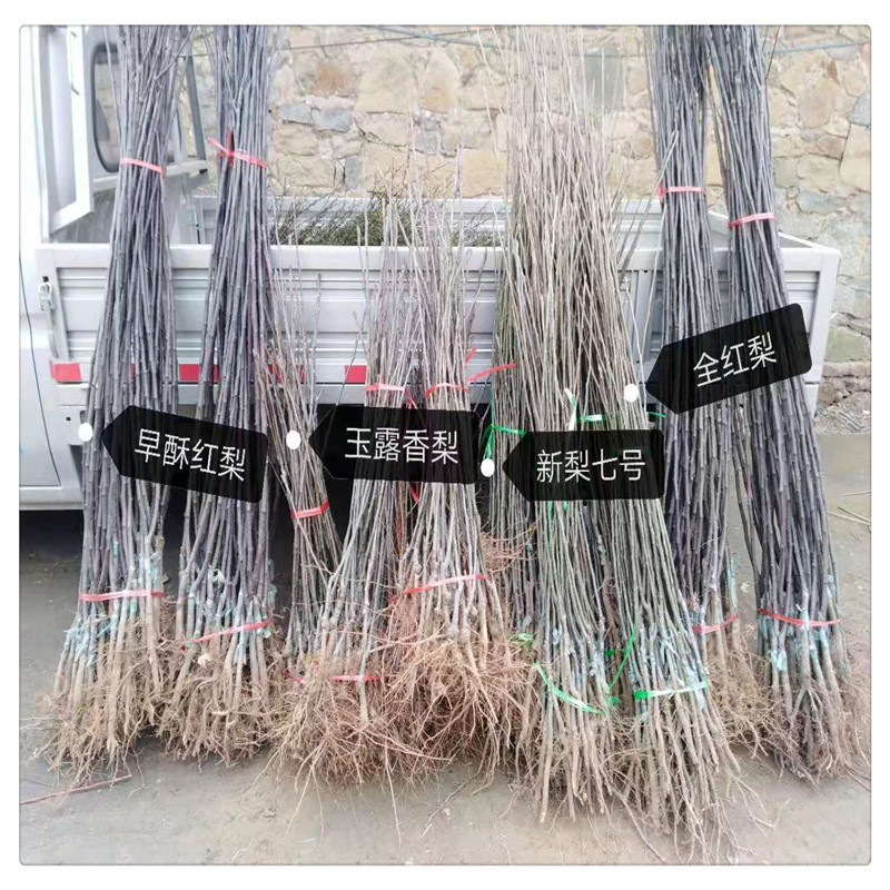 微信图片_20210126213043