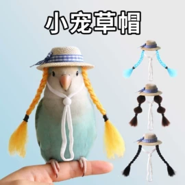 猫猫玩具;宠物帽子;其他小宠用品