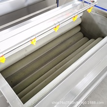 毛辊清洗机 土豆去皮机 花生清洗机 猪蹄清洗机芋头加工设备