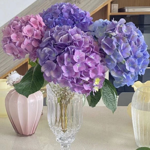 Hydrangea Flowers Yunnan Kunming Base Straight Hair Fresh Cut Flowers Blue Pink Flower Arrangement Water Culture Free Shipping Hydrangea Hydroponics