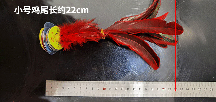 大中小公鸡毛-恢复的-恢复的_08