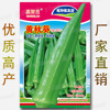 Yellow Okra seeds Green Fruit Seeds Seeds, Eggplant, Yellow Holly Holk, Major Green Vegetable Seeds Factory Wholesale Company