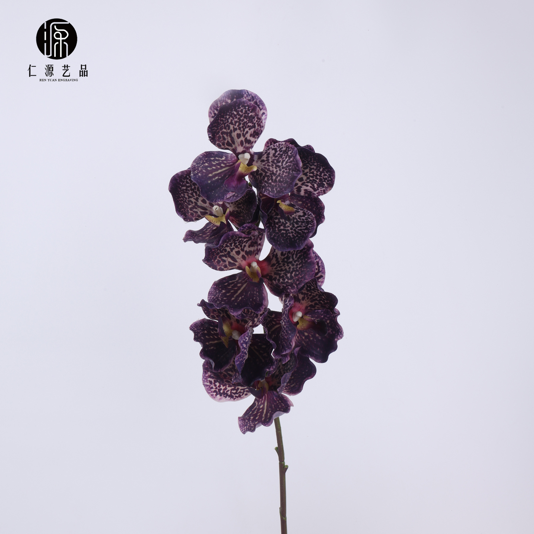 Fábrica directa de 7 orquídeas mariposa orquídeas