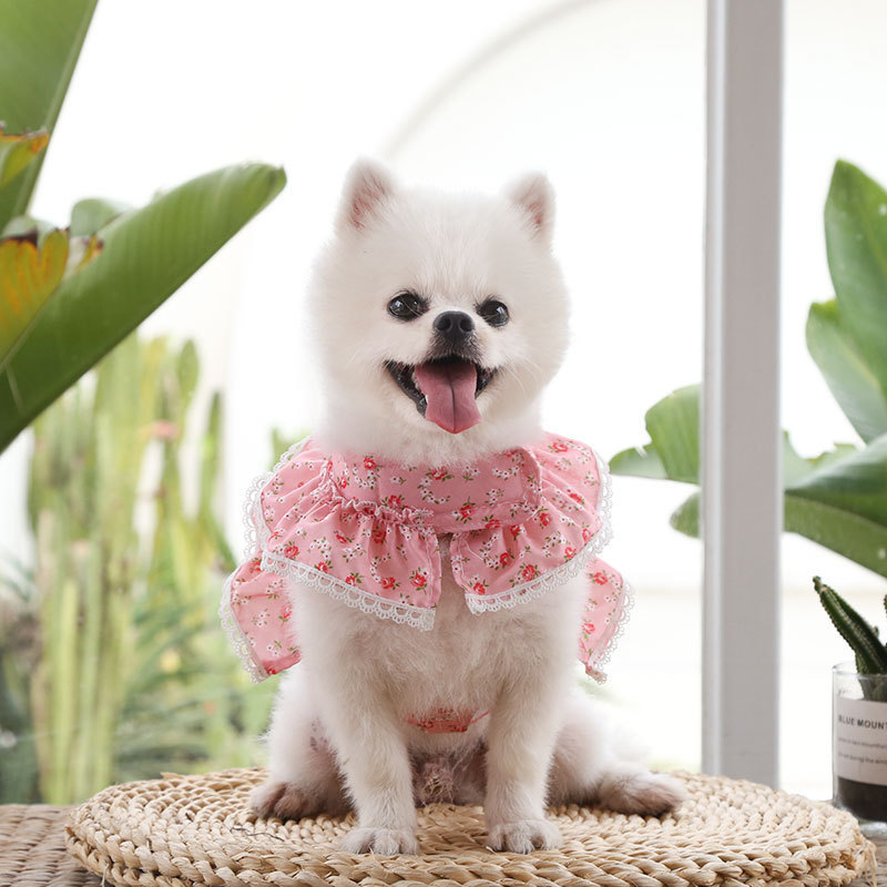 Cute Polyester Ditsy Floral Leash display picture 7