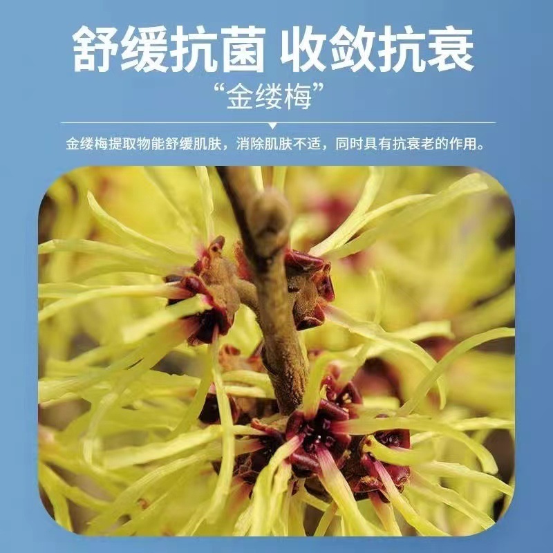马应龙痔疮凝胶医药重组胶原蛋白医用痔疮敷料厂家直发官方正品Ⅱ|undefined