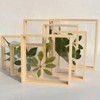 Wooden double-sided glossy photo frame, plant lamp, three dimensional transparent sample