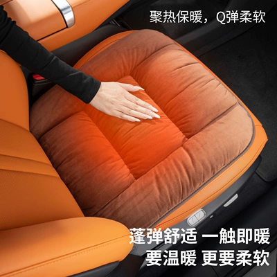 Seat cushion, seat cover, Seat Cover